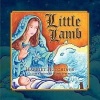 Little Lamb Photo