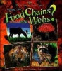 What Are Food Chains and Webs? Photo