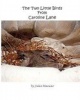 The Two Little Birds from Caroline Lane Photo
