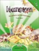 Die geheim van die kroonsteen: Leesboek 1 Vlak 2: Gr 4 - 6 Photo
