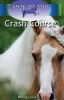 Crash Course Photo