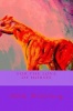 For the love of horses: The colorful life of horses Photo