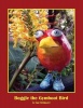 Boggle the Gymboot Bird Photo
