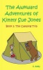 The Awkward Adventures of Kimmy Sue Jones Book 1 Photo