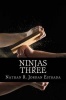 Ninjas Three Photo