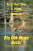 A Trilogy . Featuring Big Oak Mega Buck! Photo