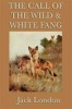 The Call of the Wild and White Fang Photo