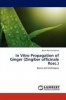 In Vitro Propagation of Ginger Photo