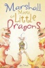 Marshall Meets the Little Dragons Photo