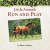 Little Animals Run and Play Photo