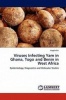 Viruses Infecting Yam in Ghana Togo and Benin in West Africa Photo