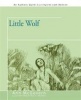 Little Wolf Photo
