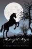 Midnight Magic Photo