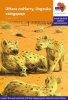 Via Afrika isiXhosa : Graded reader 23: Gr 5 Photo