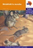 Via Afrika Sesotho: Graded reader 11: Gr 4 Photo