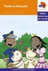 Via Afrika Sesotho: Graded reader 12: Gr 4 Photo