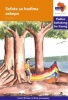 Via Afrika Sesotho: Graded reader 13: Gr 5 Photo