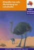 Via Afrika Sesotho: Graded reader 17: Gr 5 Photo
