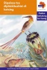 Via Afrika Sesotho: Graded reader 22: Gr 5 Photo