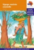 Via Afrika isiZulu : Graded reader 14: Gr 5 Photo