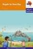 Via Afrika Sepedi: Graded reader 29: Gr 6 Photo