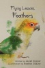 Flying Lessons Photo
