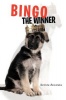 Bingo the Winner Photo