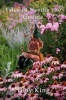 Tales of Neville the Gnome Photo