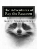 The Adventures of Ray the Raccoon Photo