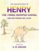 THE Adventures of Henry the Three Humped Camel and His Friend Mr. Fluff Photo