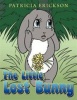 The Little Lost Bunny Photo