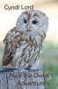 Nick the Owlet's Adventure Photo