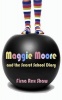 Maggie Moore and the Secret School Diary Photo