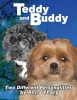Teddy and Buddy - Two Different Personalities Photo