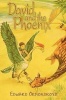 David and the Phoenix Photo