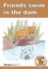Friends swim in the dam: Big book gold 1 Photo