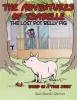 The Adventures of Isabelle The Lost Pot Belly Pig Photo