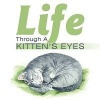 Life Through A Kitten's Eyes Photo
