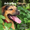 Adopting Ginger Photo