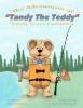 The Adventures of Tandy the Teddy Photo