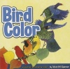Bird Color Photo