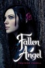 Fallen Angel Photo
