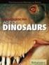The Mesozoic Era Photo
