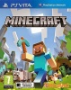 Minecraft PS2 Game Photo