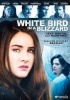 White Bird in a Blizzard - Photo
