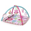 Bright Starts - Charming Chirps Activity Gym Photo