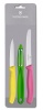 Victorinox - Classic 3 Piece Prism Paring Set Photo