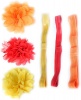 Headband Mix Summer Photo