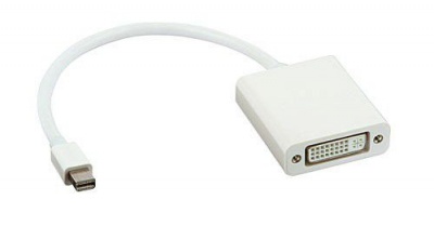 Photo of Lindy Mini Display Port To DVI-D F Adapter