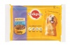 Pedigree - Adult Pouch x 4 Multipack - Chicken & Lamb In Jelly - 0.1kg Photo